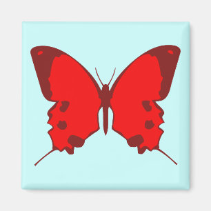 Imán Mariposa roja