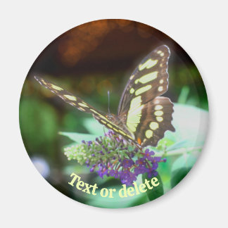 Imán Mariposa Suave Sobre Flor Naturaleza Personalizada