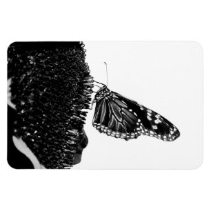 Imán mariposa tímida blacq