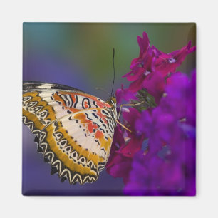 Imán Mariposa Tropical en Flores Purpúreas