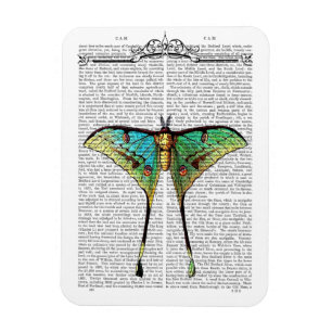 Imán Mariposa vibrante