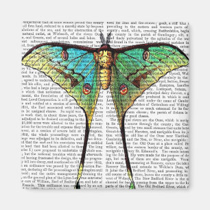 Imán Mariposa vibrante