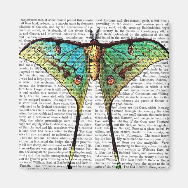 Imán Mariposa vibrante (Frente)