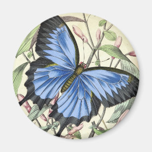 Imán Mariposa vintage