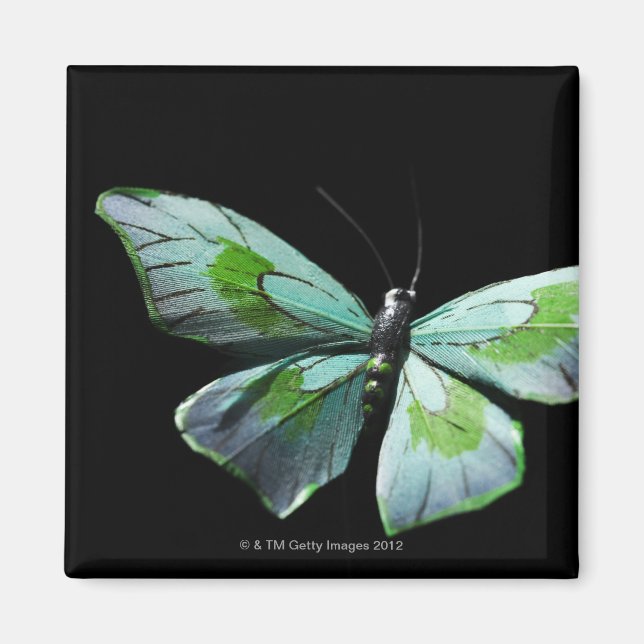 Imán Mariposa voladora (Frente)