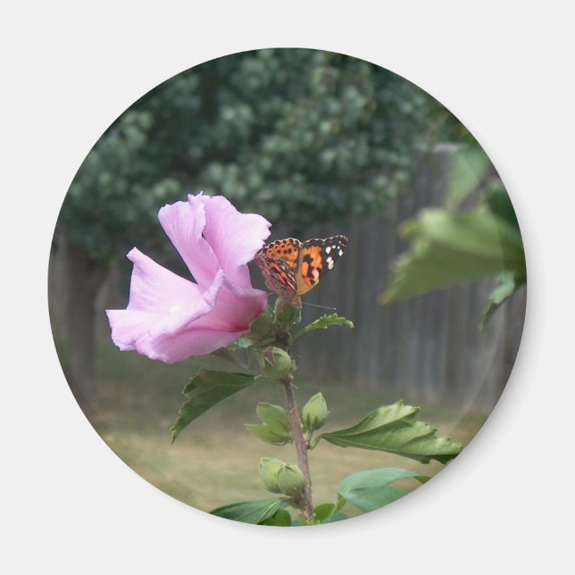 Imán Mariposa y Rosa de Sharon (Frente)