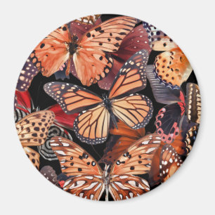 Imán Mariposas