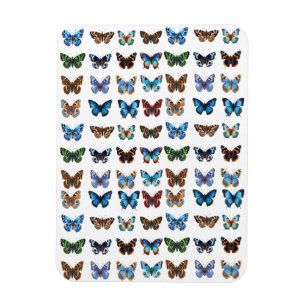 Imán Mariposas