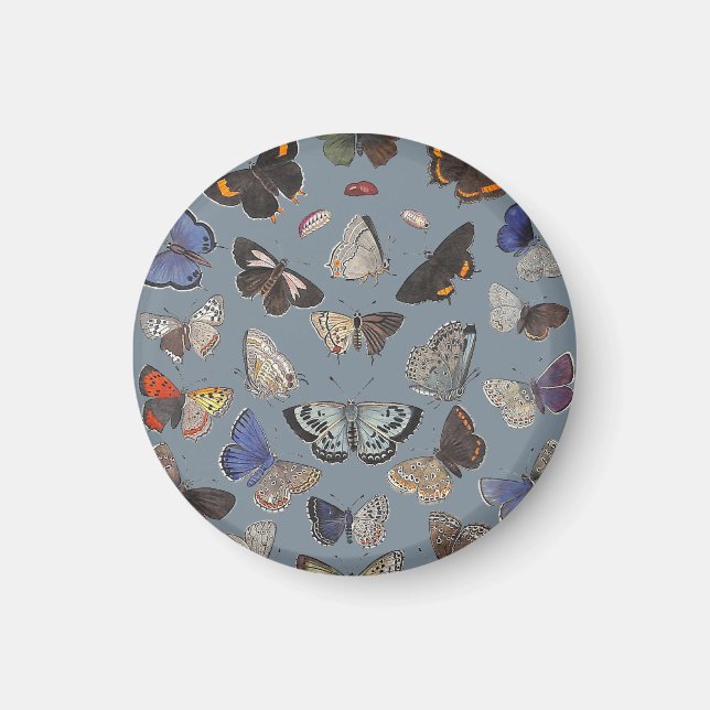 Imán Mariposas, 1842 (Frente)