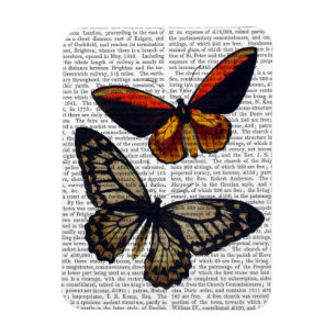 Imán Mariposas 3