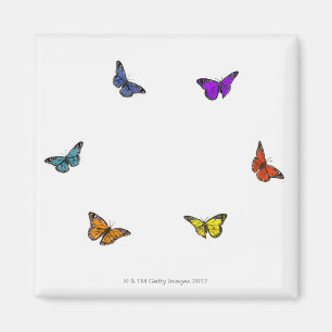 Imán Mariposas del vuelo