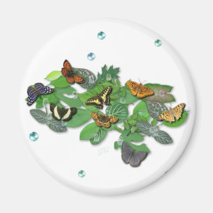Imán Mariposas en hojas