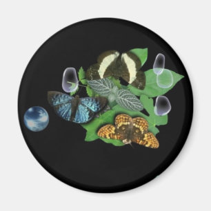 Imán Mariposas en hojas