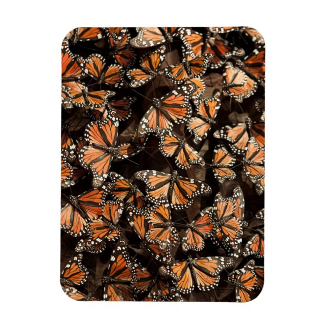 Imán Mariposas monarcas (Vertical)