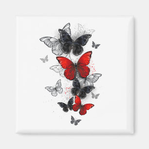 Imán Mariposas Morpho voladoras negras y rojas