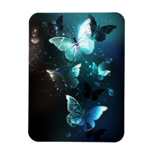 Imán Mariposas nocturnas