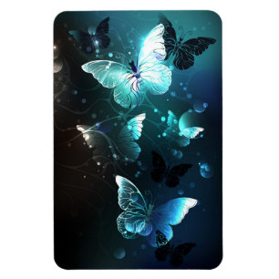 Imán Mariposas nocturnas