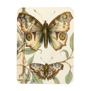 Imán Mariposas tándem sobre hojas verdes