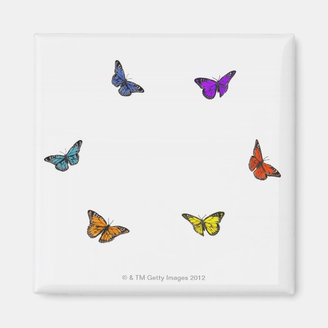 Imán Mariposas voladoras (Frente)