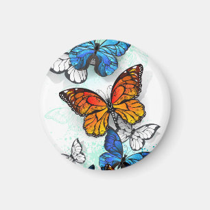 Imán Mariposas voladoras Morpho y Monarca