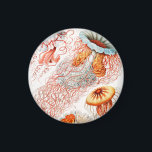 Imán Marisco, Discomedusae de Ernst Haeckel<br><div class="desc">Jellyfish,  Discomedusae Scheibenquallen por Ernst Haeckel Magnet</div>