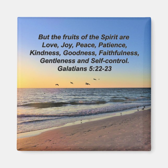 IMÁN MARISCOS SOBRE LAS FRUTAS DE LA PLAYA DEL ESPÍRITU (Frente)