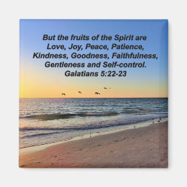 IMÁN MARISCOS Y GALATIANOS SUNRISS 5 MAGNET