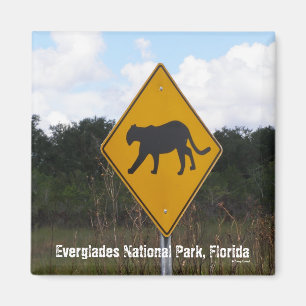 Imán Marismas parque nacional, la Florida