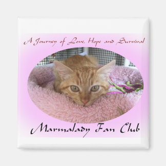 Imán Marmalady Magnet