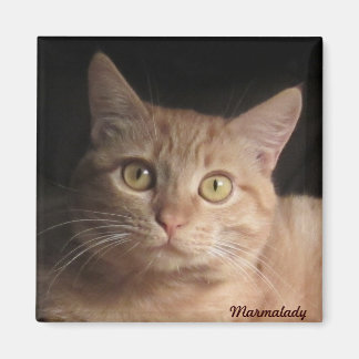 Imán Marmalady Magnet