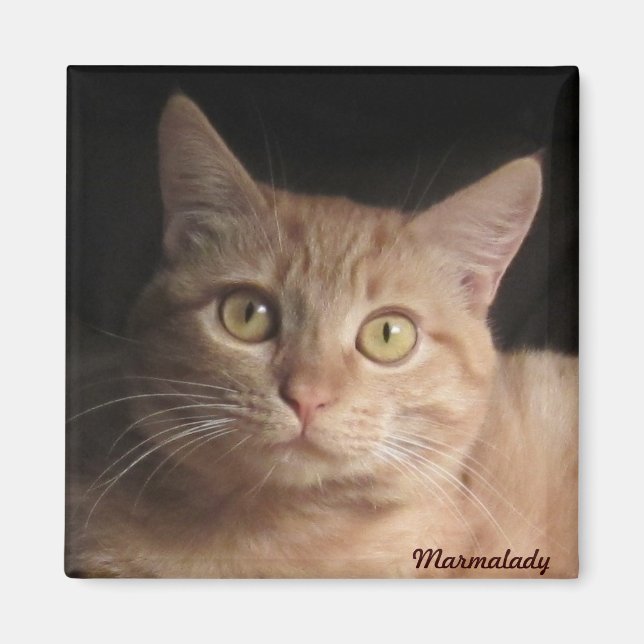 Imán Marmalady Magnet (Frente)