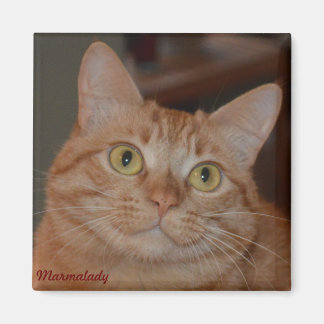 Imán Marmalady y "La sonrisa"