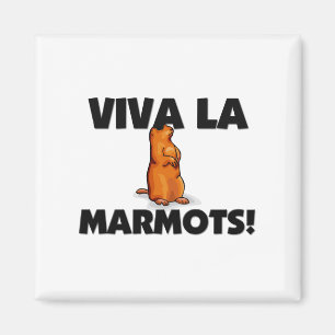 Imán Marmotas del La de Viva