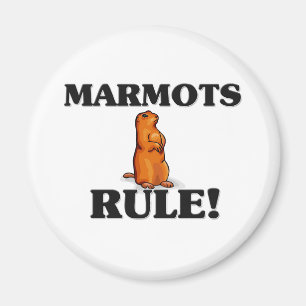 IMÁN ¡MARMOTS RIGEN!