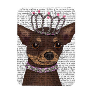 Imán Marrón Chihuahua Y Tiara