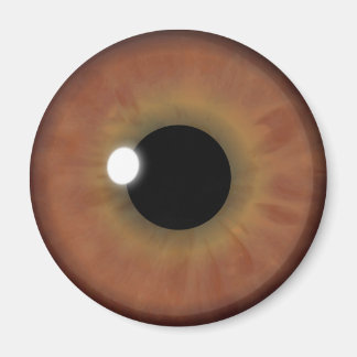 Imán Marrón Ojo Iris Eyeball Guay Personalizado Redondo