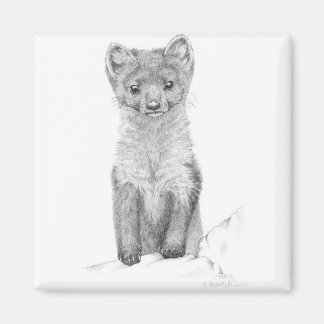 Imán martillo de pino