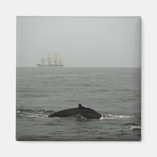 Imán Masa de ballenas y buques de altura