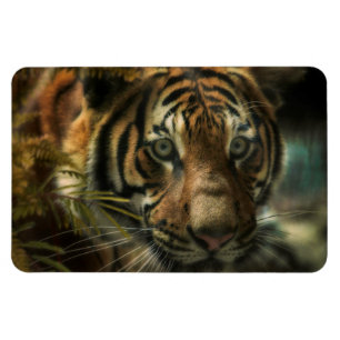 IMÁN MASA DE TIGRE CERO