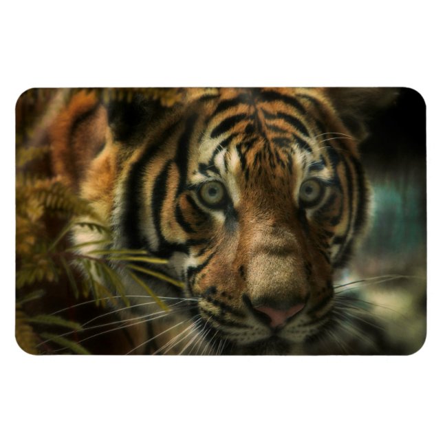 IMÁN MASA DE TIGRE CERO (Horizontal)