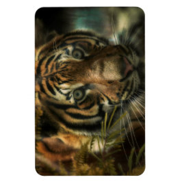 IMÁN MASA DE TIGRE CERO