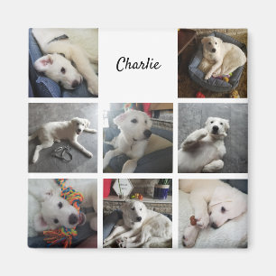Imán Mascota de curación de Collage de fotos de cachorr