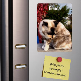Imán Mascota de familia personalizado, refrigerador de