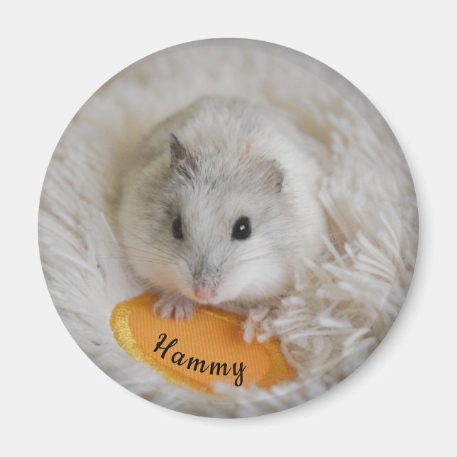 Imán Mascota de martillo enano blanco personalizado (Frente)