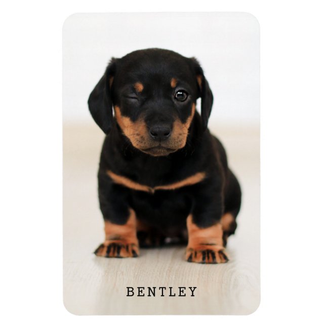 Imán Mascota de perro fotográfico completo moderno| Neg (Vertical)