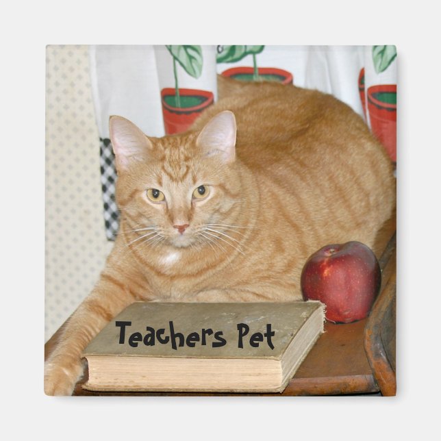 Imán Mascota del profesor (Frente)