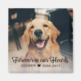 Imán Mascota en memoria de la foto
