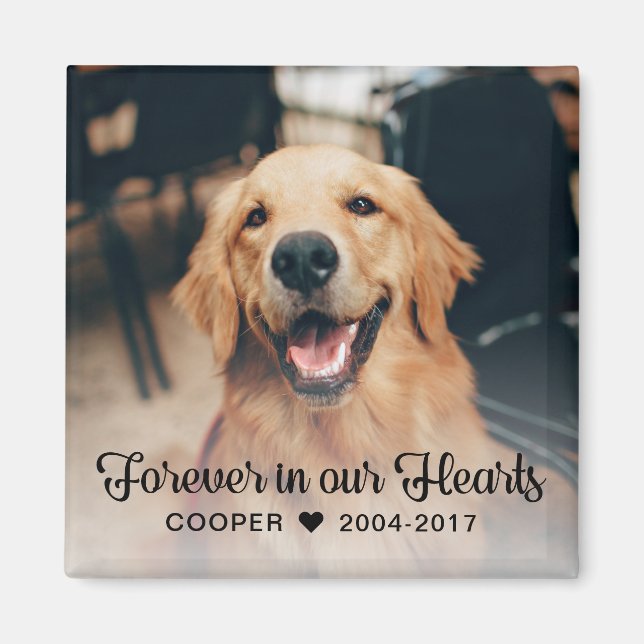 Imán Mascota en memoria de la foto (Frente)