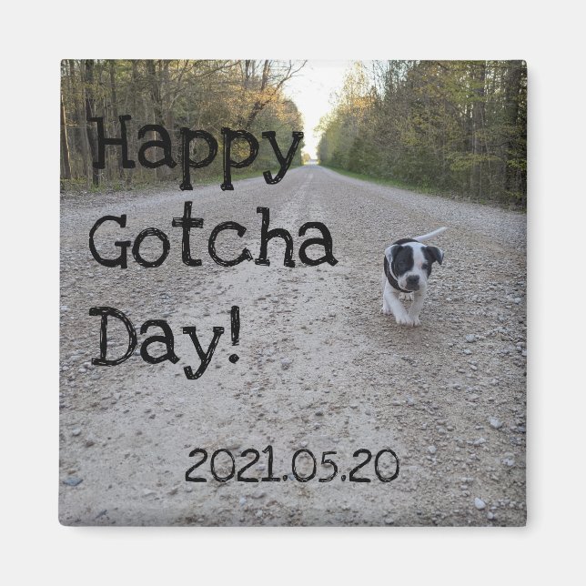 Imán Mascota feliz del Día de Gotcha (Frente)
