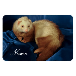 Imán Mascota Ferret personalizado